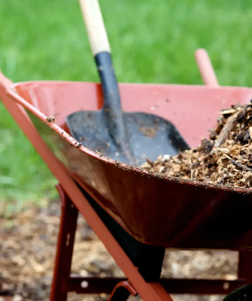 Untitled-design-60-1